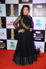 Rituparna Sengupta at zee cine awards 2016 on 20th Feb 2016